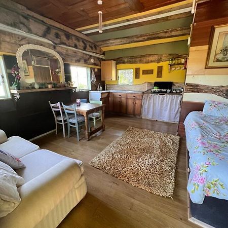 Foxglove Eco Lodge Llanelli Zewnętrze zdjęcie