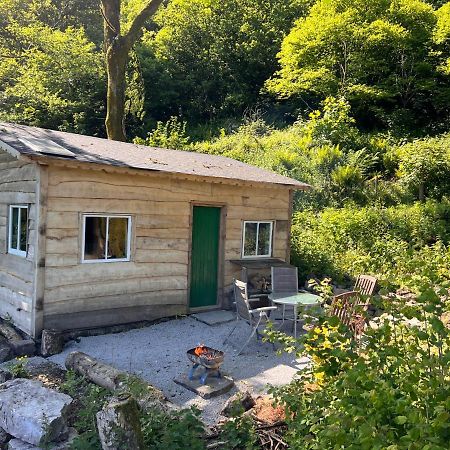 Foxglove Eco Lodge Llanelli Zewnętrze zdjęcie