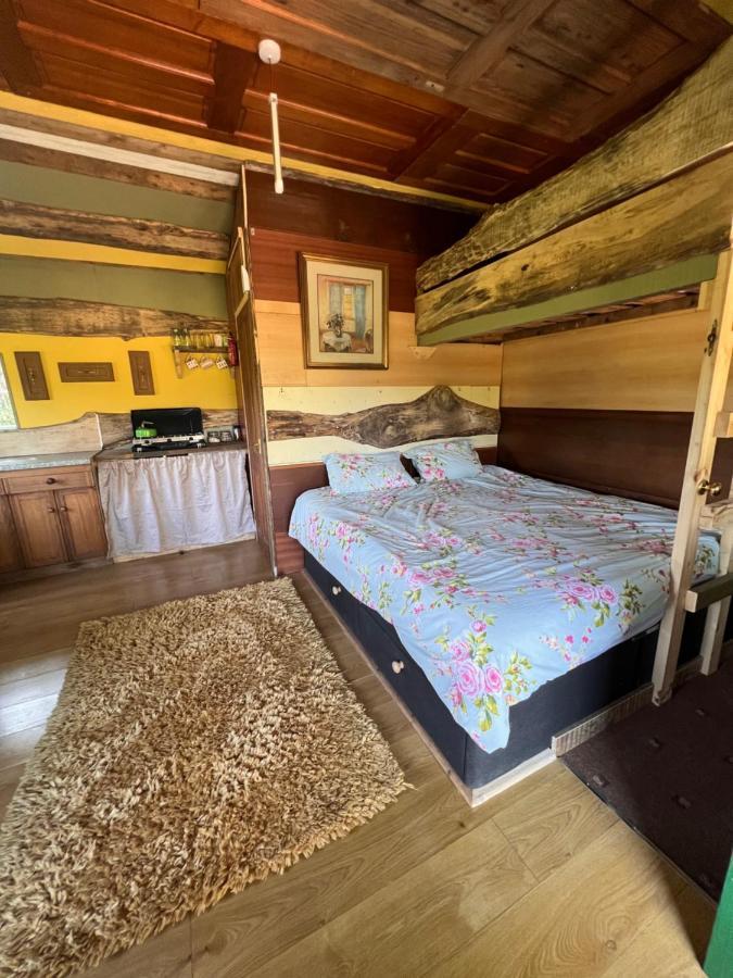 Foxglove Eco Lodge Llanelli Zewnętrze zdjęcie