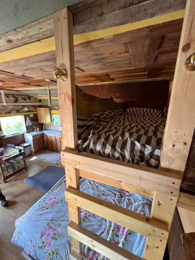 Foxglove Eco Lodge Llanelli Zewnętrze zdjęcie