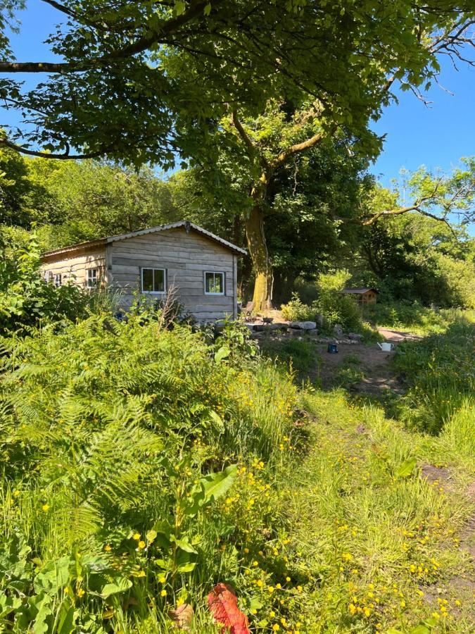 Foxglove Eco Lodge Llanelli Zewnętrze zdjęcie
