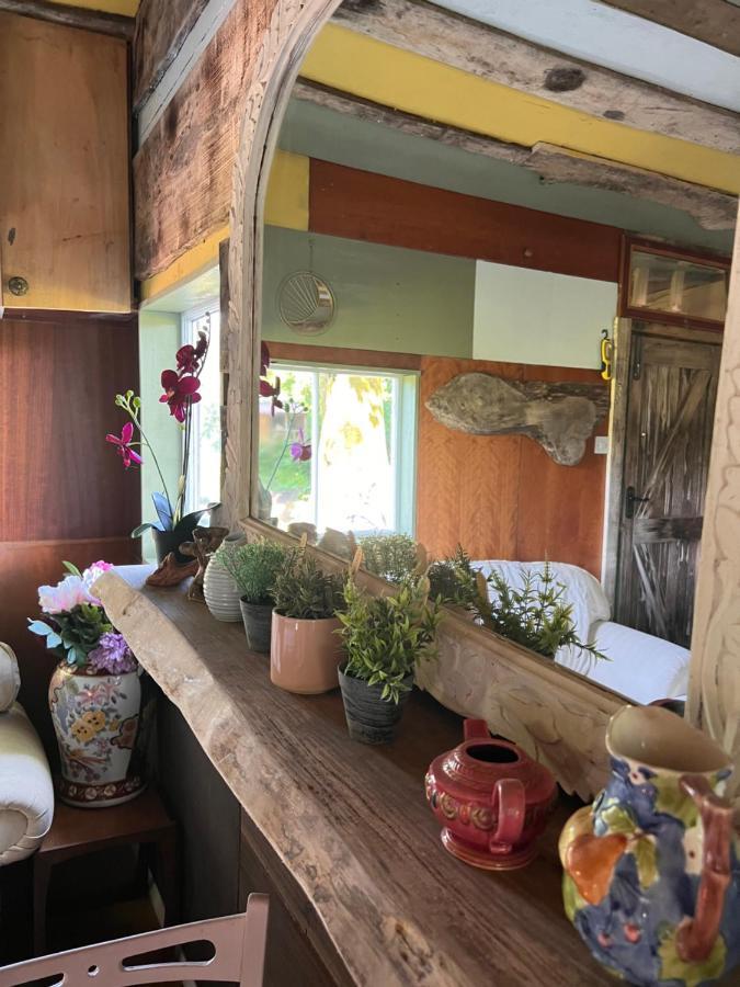 Foxglove Eco Lodge Llanelli Zewnętrze zdjęcie